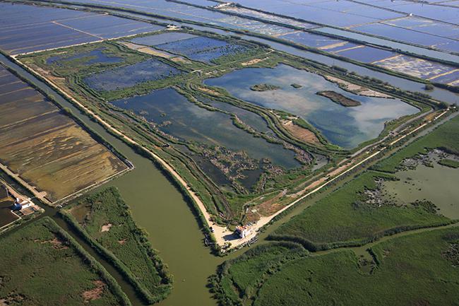 Foto aérea del Tancat de la Pipa, uno de los tres humedales artificiales donde trabaja el proyecto LIFE Albufera (foto: Servei Devesa Albufera / Ajuntament de València).
