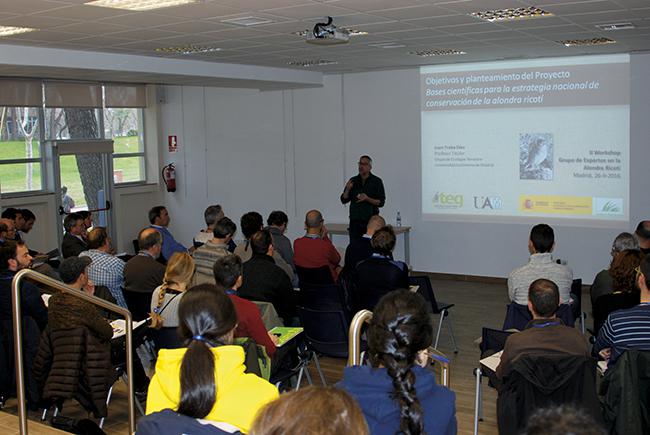 Jornada de trabajo sobre la alondra ricotí celebrada el pasado 26 de febrero en la Universidad Autónoma de Madrid (foto: TEG-UAM).