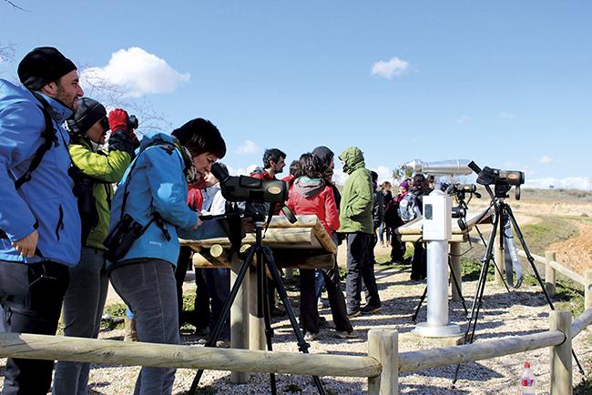 Un grupo de ecoturistas disfruta de una jornada de observación de aves en la laguna conquense de El Hito (foto: Nuria Chacón).