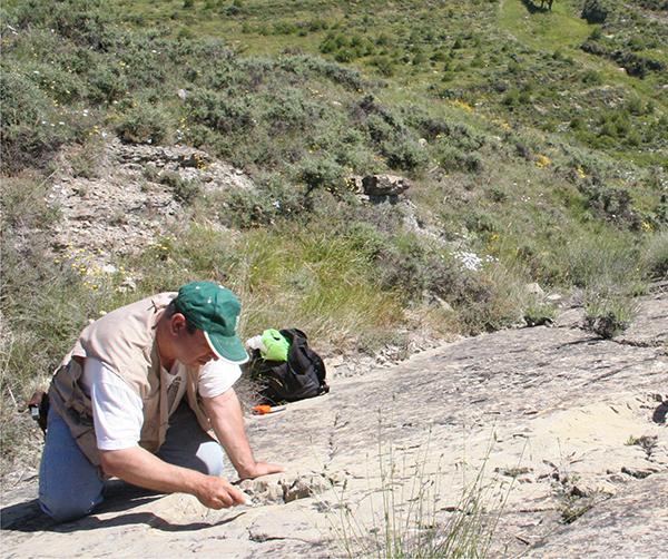 Joaquín Moratalla, autor de este artículo, estudiando las icnitas de dinosaurios del yacimiento de La Magdalena (Préjano, La Rioja).