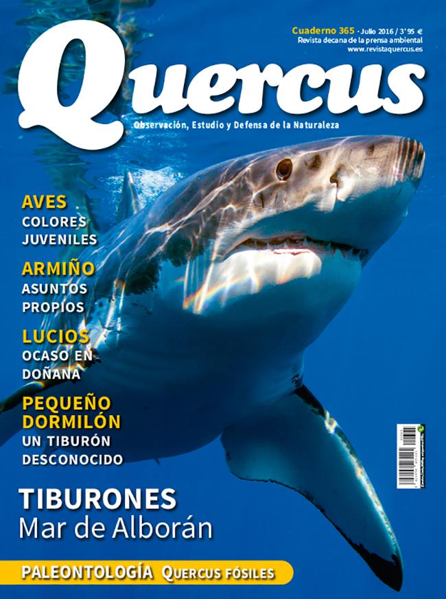 Portada Quercus nº 365 / Julio 2016