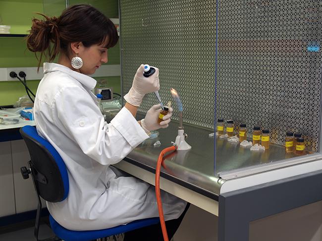 Una investigadora en el laboratorio de un centro científico del proyecto Synthesys (foto: Real Jardín Botánico).