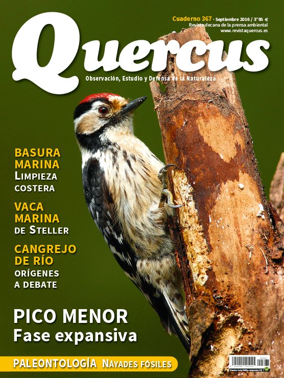 Portada Quercus nº 367 / Septiembre 2016