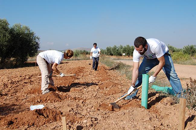 Varios voluntarios plantan setos para favorecer la biodiversidad en una zona agrícola del término municipal de Valdepeñas (Ciudad Real). Foto: FIRE.