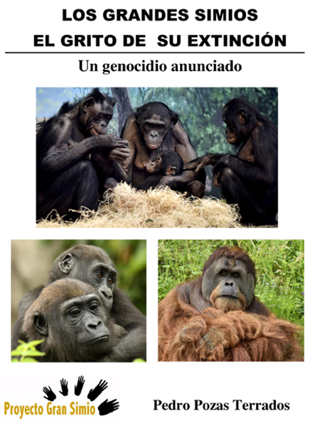 Grandes primates: ¿Cómo los estamos extinguiendo?