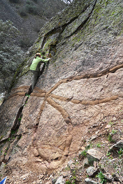 Galerías de gusanos gigantes conservadas en el techo de un estrato de cuarcita. Ordovícico Inferior del Boquerón del Estena (foto: autores).