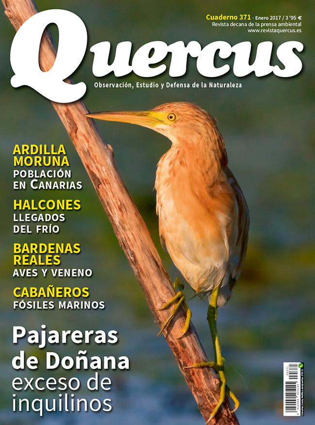 Portada Quercus nº 371/Enero 2017