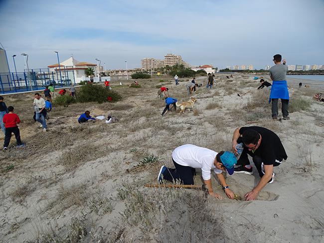 Varios voluntarios participan en una plantación de flora de dunas en la zona norte de La Manga (Murcia). Foto: Pedro García / Anse.