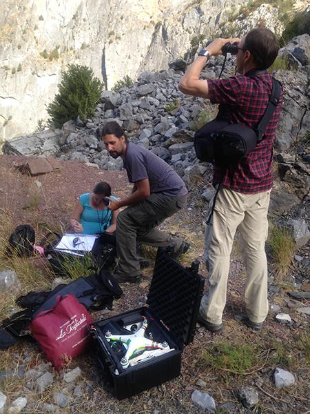 El equipo de FCQ y switch drone se dispone a echar a volar un dron para evaluar la tolerancia a este dispositivo de las rapaces carroñera (foto: Juan Antonio Gil y Francisco Martínez).

