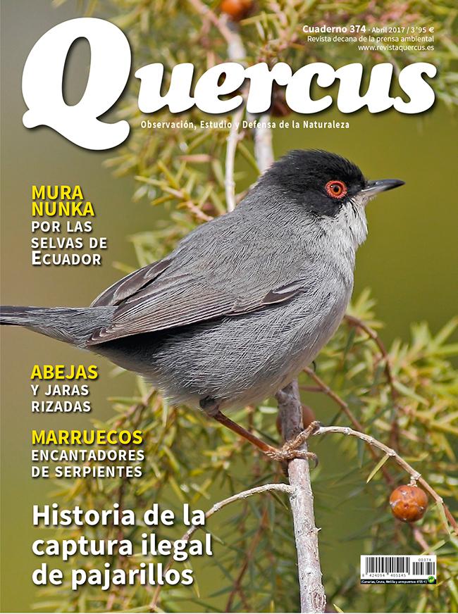 Portada Quercus nº 374/Abril 2017