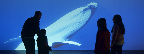 Una familia observa un recurso audiovisual de la exposición sobre los océanos (foto: MNCN).