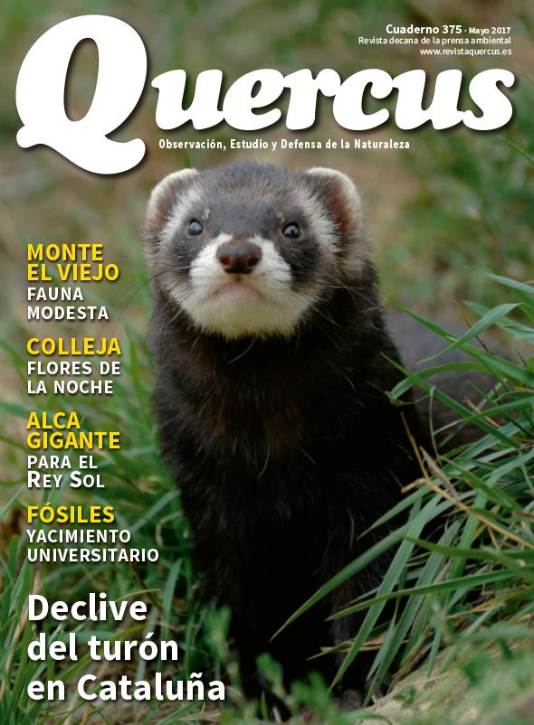 Portada Quercus nº 375/Mayo 2017