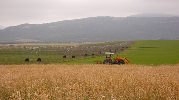 Un tractor faena entre una zona de cereal de secano y un regadío en Castilla-La Mancha (foto: Carmen Arufe / WWF).

