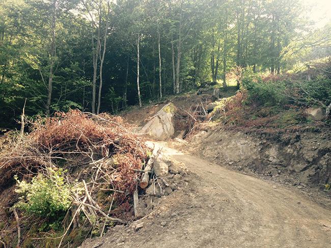 Escena que refleja el impacto en el medio natural de Aller (Asturias) de la transformación de un sendero en pista motorizada (foto: Coordinadora Ecoloxista d’Asturies).

