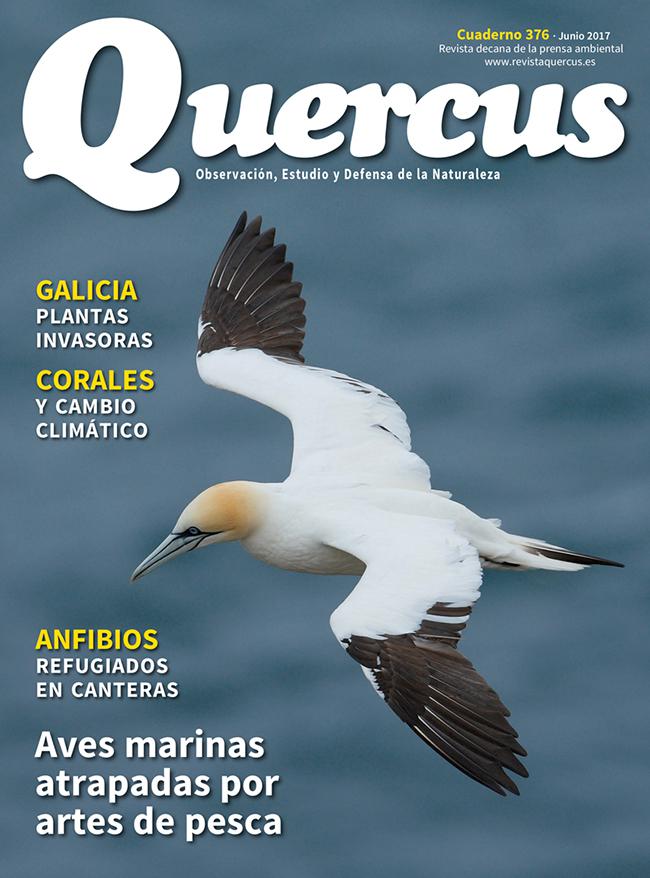 Sumario Quercus nº 376/Junio 2017