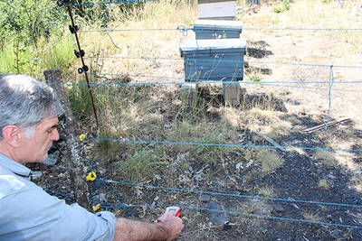 Un técnico comprueba el funcionamiento de un cercado doble electrificado, instalado para evitar la entrada del oso a un colmenar en el Alto Sil (León). Foto: Sofía Losada.

