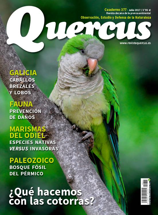 Portada Quercus nº 377 / Julio 2017