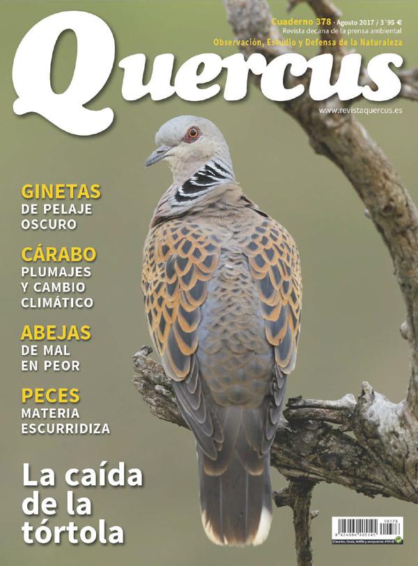 Sumario Quercus nº 378 / Agosto 2017