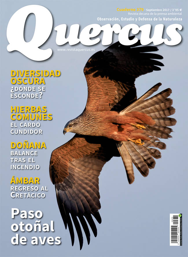 Portada Quercus nº 379/Septiembre 2017