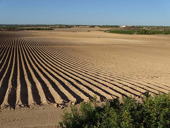 Nuevos regadíos ilegales en Sucina, en el término municipal de Murcia, dentro de la ZEPA “El Valle y Sierras de Altaona y Escalona” (foto: Pedro García / Anse).


