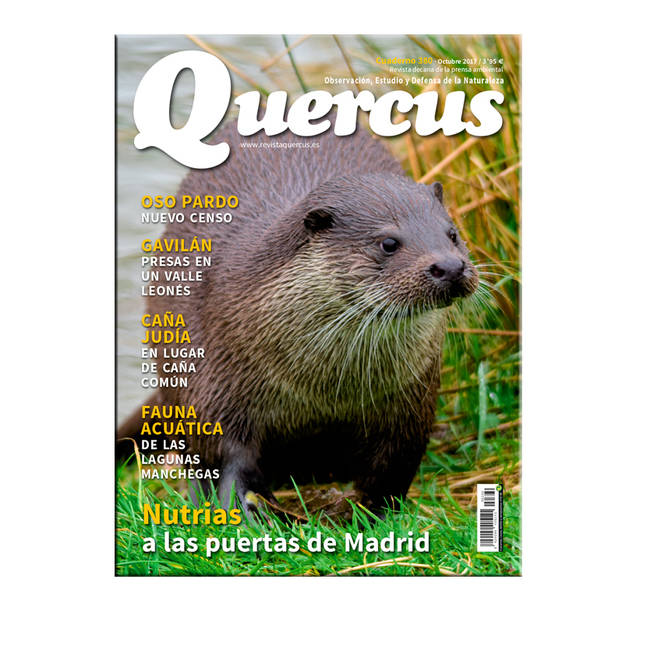 Sumario Quercus nº 380/Octubre 2017