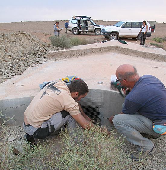 Momento de la colocación de una malla metálica en el acceso lateral de un aljibe del suroeste de Marruecos (foto: Teresa Pérez García).

