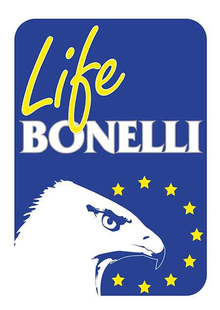 LIFE Bonelli: primer paso hacia la recuperación de una rapaz olvidada