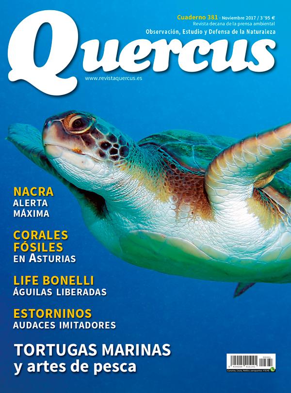 Portada Quercus nº 381/Noviembre 2017 | Revista Quercus