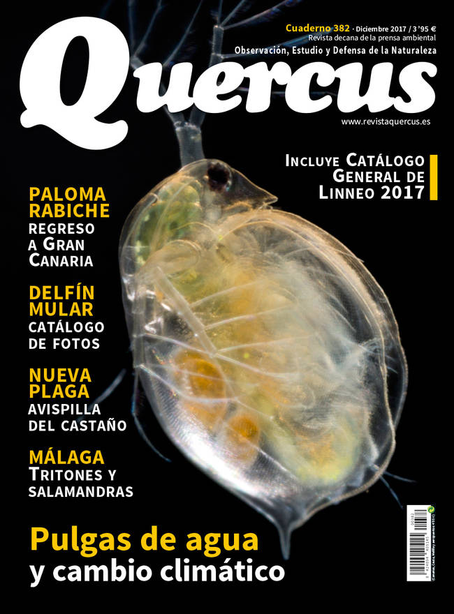 Portada Quercus nº 382/Diciembre 2017