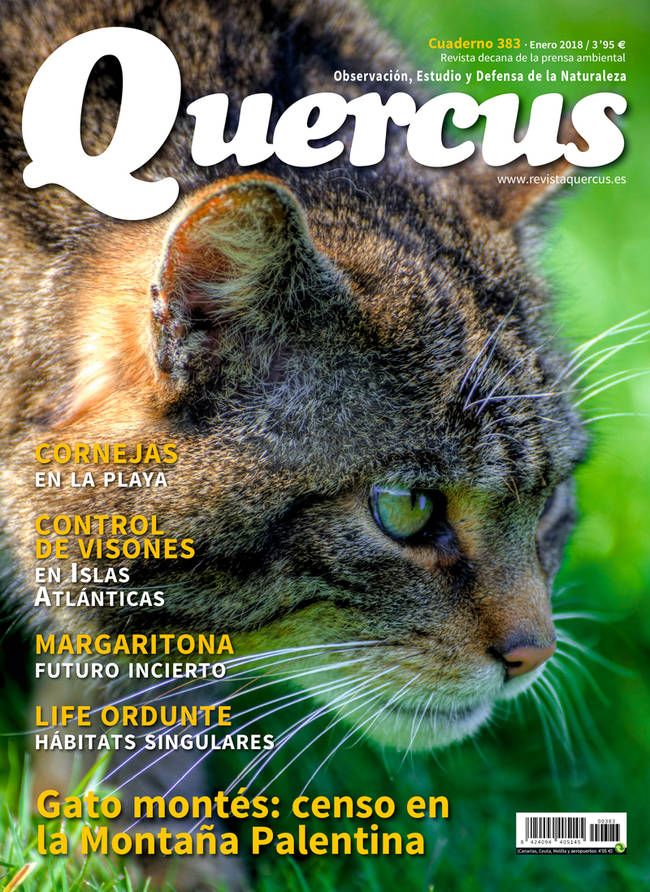 Sumario Quercus nº 383 / Enero 2018