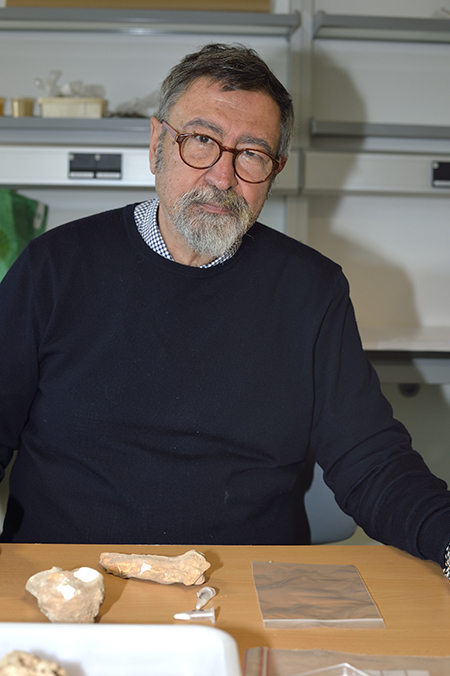 El profesor Trinidad de Torres en la Universidad de Almería, ante huesos fósiles de oso pardo hallados en la sierra almeriense de Gádor (foto: autores).

