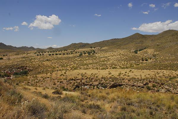 Vista del área protegida por la Red Natura 2000 que pretendía urbanizarse en el caso Zerrichera, en Águilas, Murcia (foto: Pedro García / Anse).

