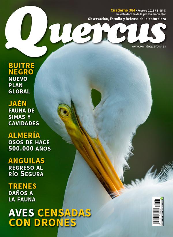 Sumario Quercus nº 384/ Febrero 2018