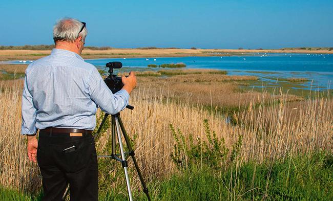 Un hombre graba en vídeo a las aves acuáticas de un humedal (foto: Dimitrina Lavchieva / Shutterstock).


