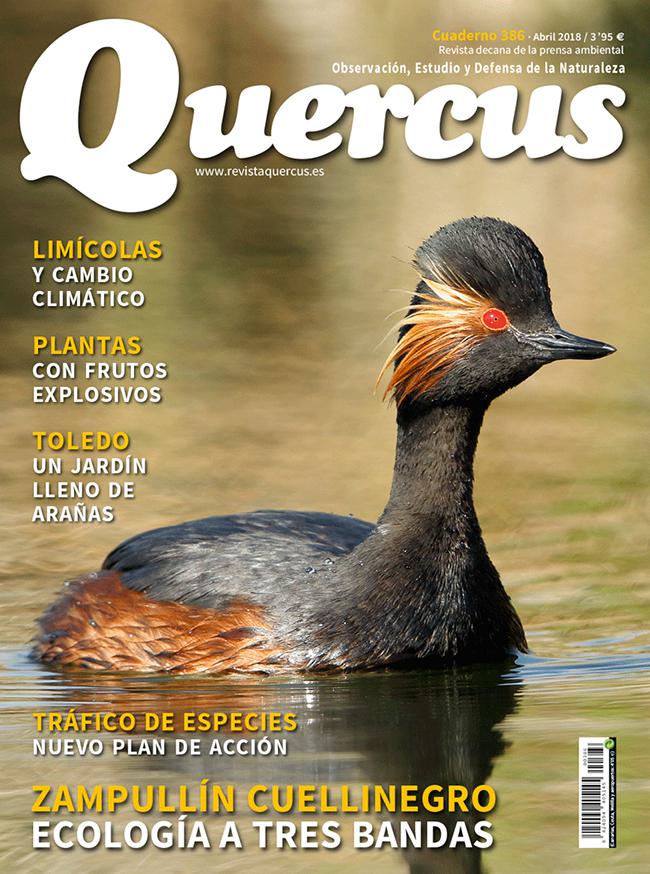 Sumario Quercus nº 386/ Abril 2018