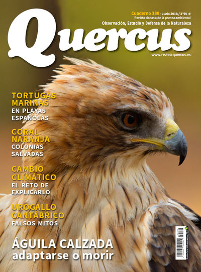 Portada Quercus nº 388/ Junio 2018