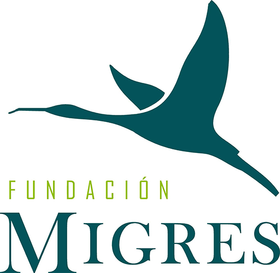 Tarifa recibe a los expertos en migración de las aves