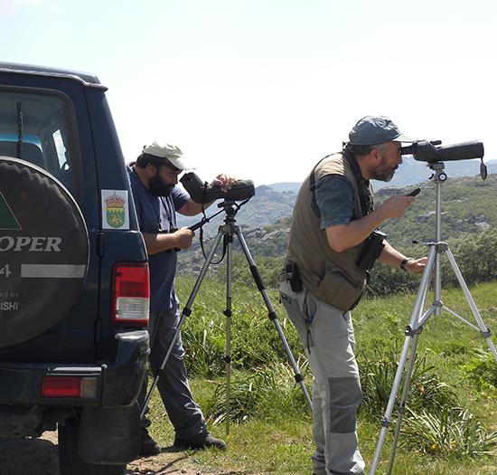 Parte del equipo de estudio durante un censo de rapaces en el interior de Galicia (foto: Luis Tapia).

