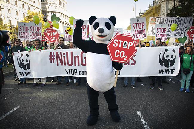 Un activista de WWF España, disfrazado de oso panda, encabeza la pancarta de esta ONG durante una manifestación por el clima celebrada en Madrid (foto: Nacho Balancín de Blancos / WWF España).

