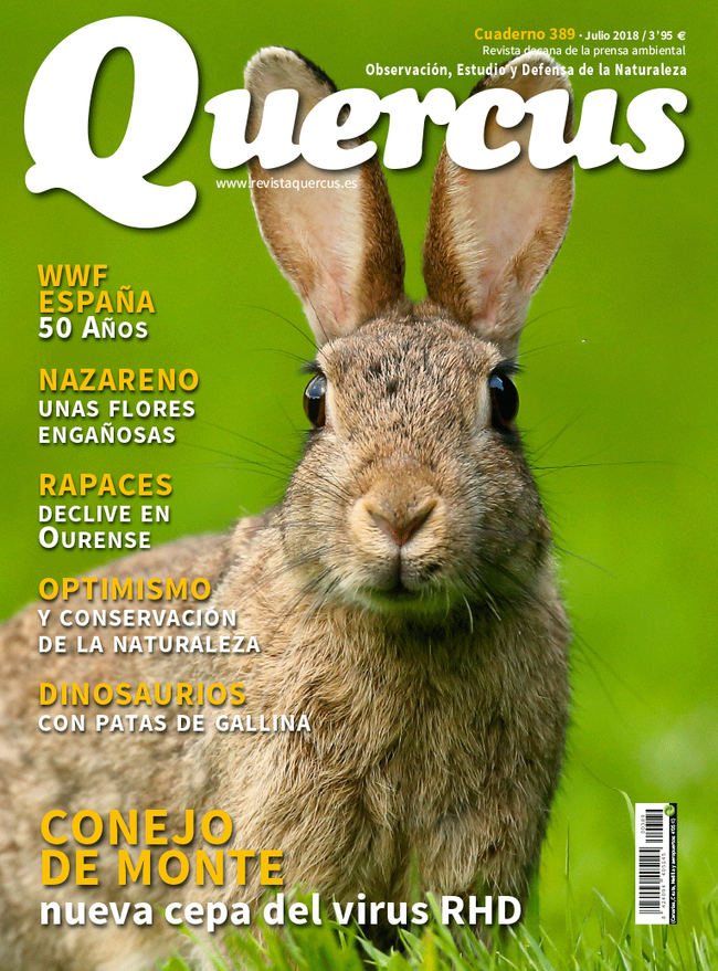 Portada Quercus nº 389/ Julio 2018