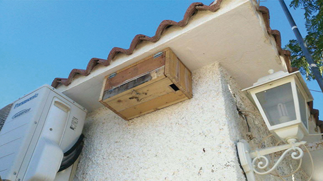 Caja nido para vencejos instalada en la fachada de una casa (foto: Fernando Calderón).
