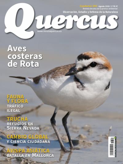 Portada Quercus nº 390 / Agosto 2018