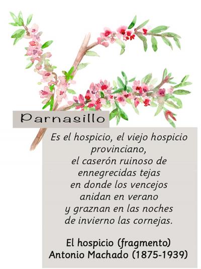 Parnasillo Agosto 2018