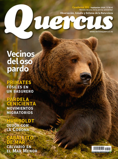 Portada Quercus nº 391 / Septiembre 2018