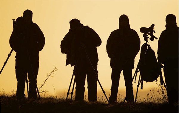 Observación de aves al atardecer (foto: Erni / Shutterstock).