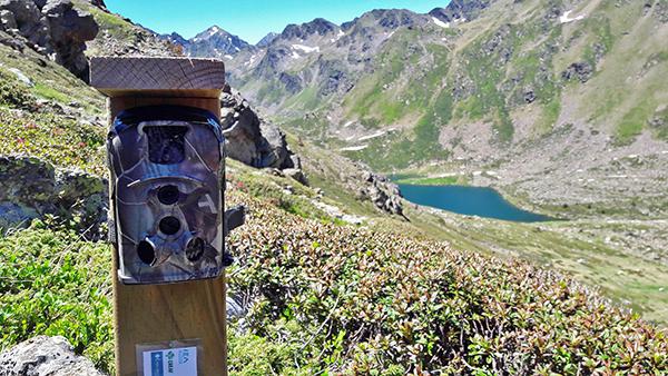 Cámara de fototrampeo cerca de uno de los lagos de Tristaina, en el Pirineo de Andorra (foto: Jana Marco).

