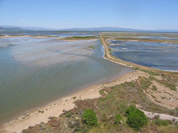 Panorámica de la Punta de la Banya, en el Delta del Ebro (foto: Cristina Sánchez / SEO BirdLife).