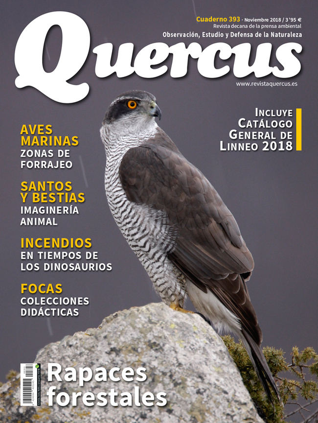 Sumario Quercus nº 393 / Noviembre 2018