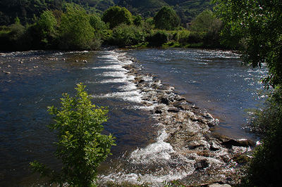Tramo del río Pas, en Cantabria (foto: SEO/BirdLife).
