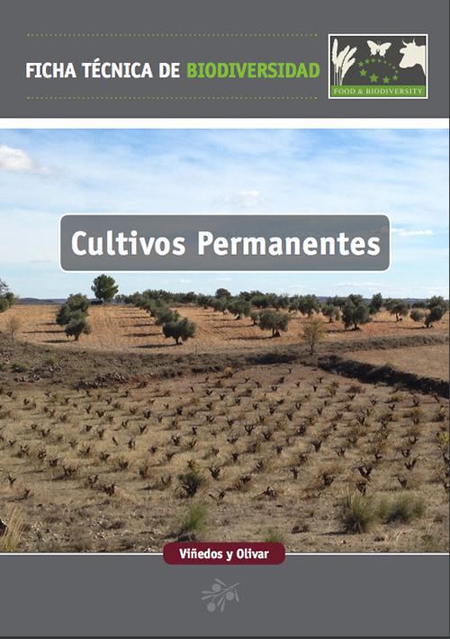 Portada de la ficha técnica dedicada al viñedo y al olivar.

